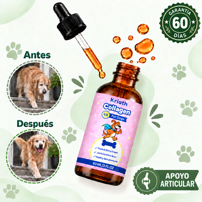 Artivita™ – Apoya la movilidad, las articulaciones y el bienestar diario