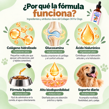 Artivita™ – Apoya la movilidad, las articulaciones y el bienestar diario