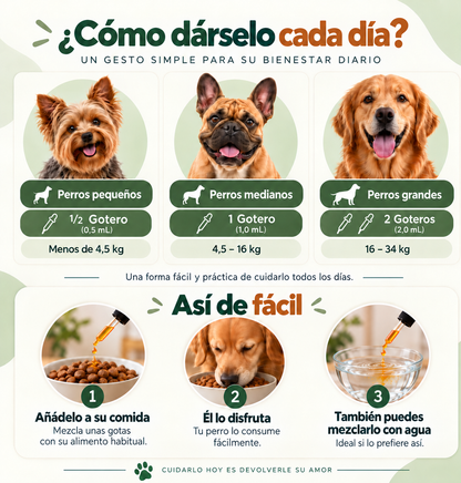 Artivita™ – Apoya la movilidad, las articulaciones y el bienestar diario