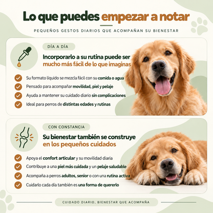 Artivita™ – Apoya la movilidad, las articulaciones y el bienestar diario
