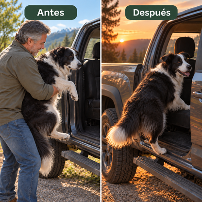 Artivita™ – Apoya la movilidad, las articulaciones y el bienestar diario