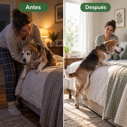 Artivita™ – Apoya la movilidad, las articulaciones y el bienestar diario