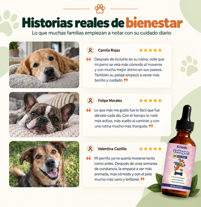 Artivita™ – Apoya la movilidad, las articulaciones y el bienestar diario